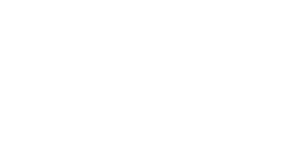 Marke Leapmotor bei Auto Günther